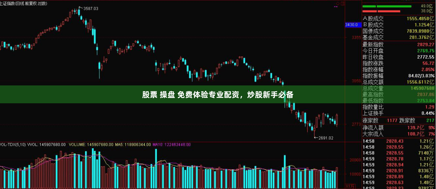 股票 操盘 免费体验专业配资，炒股新手必备